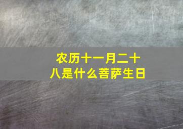 农历十一月二十八是什么菩萨生日