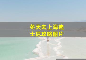 冬天去上海迪士尼攻略图片