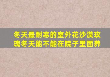 冬天最耐寒的室外花沙漠玫瑰冬天能不能在院子里面养