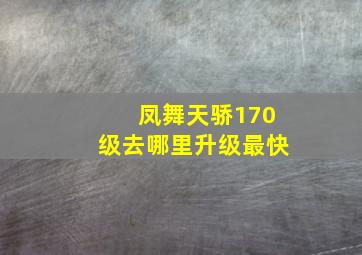 凤舞天骄170级去哪里升级最快