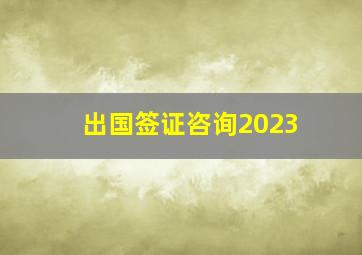 出国签证咨询2023