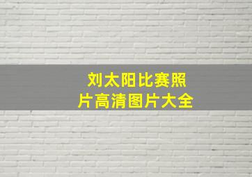 刘太阳比赛照片高清图片大全