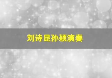 刘诗昆孙颖演奏