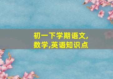 初一下学期语文,数学,英语知识点