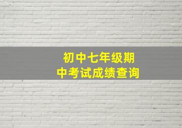 初中七年级期中考试成绩查询