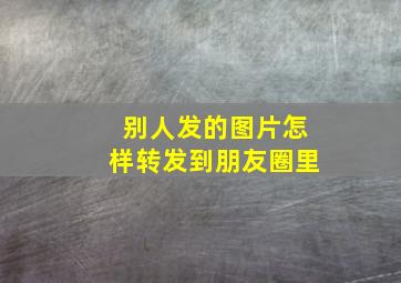 别人发的图片怎样转发到朋友圈里