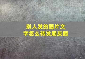 别人发的图片文字怎么转发朋友圈