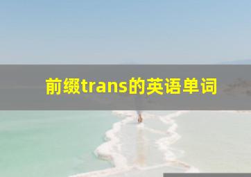 前缀trans的英语单词