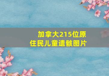 加拿大215位原住民儿童遗骸图片