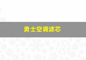 勇士空调滤芯