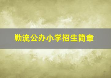 勒流公办小学招生简章