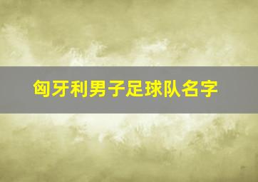 匈牙利男子足球队名字