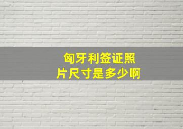 匈牙利签证照片尺寸是多少啊