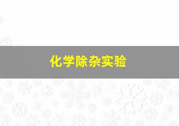 化学除杂实验