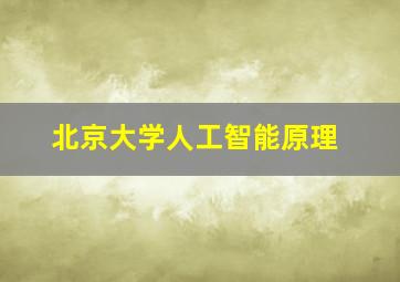 北京大学人工智能原理