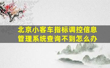 北京小客车指标调控信息管理系统查询不到怎么办