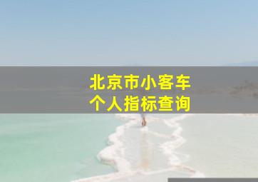 北京市小客车个人指标查询