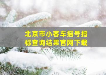 北京市小客车摇号指标查询结果官网下载