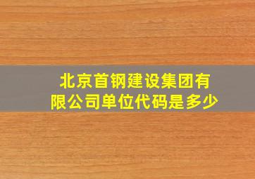 北京首钢建设集团有限公司单位代码是多少