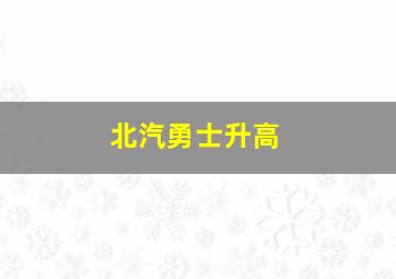 北汽勇士升高