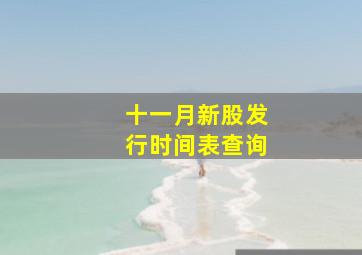 十一月新股发行时间表查询