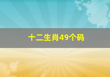 十二生肖49个码