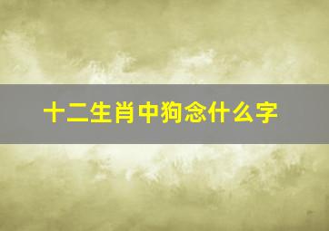 十二生肖中狗念什么字