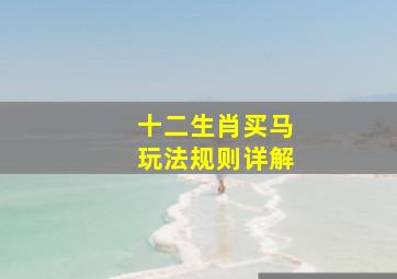 十二生肖买马玩法规则详解