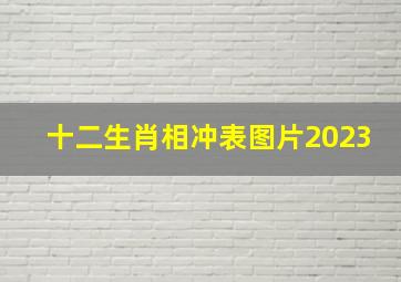 十二生肖相冲表图片2023