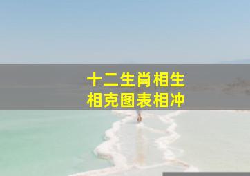 十二生肖相生相克图表相冲