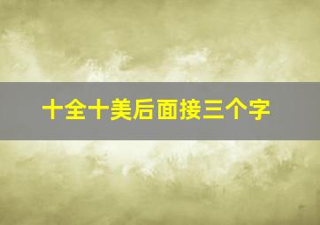 十全十美后面接三个字