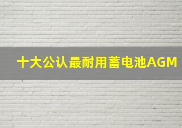 十大公认最耐用蓄电池AGM