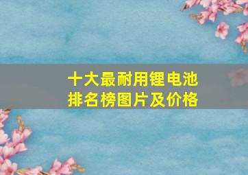 十大最耐用锂电池排名榜图片及价格