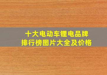 十大电动车锂电品牌排行榜图片大全及价格