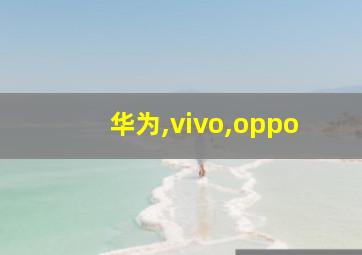 华为,vivo,oppo