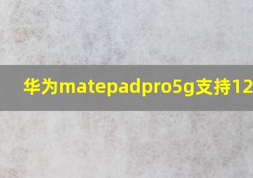 华为matepadpro5g支持120帧吗