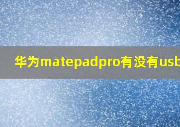 华为matepadpro有没有usb插口