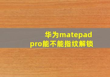 华为matepadpro能不能指纹解锁