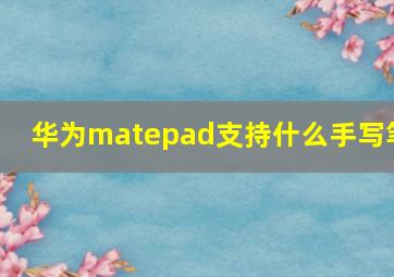 华为matepad支持什么手写笔