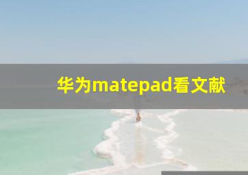 华为matepad看文献