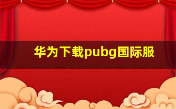 华为下载pubg国际服