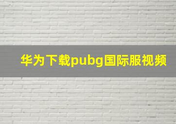 华为下载pubg国际服视频