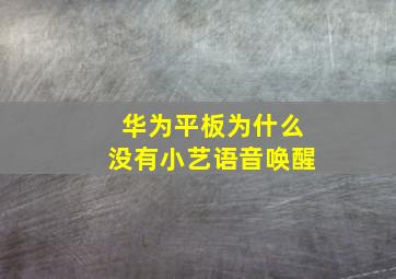 华为平板为什么没有小艺语音唤醒