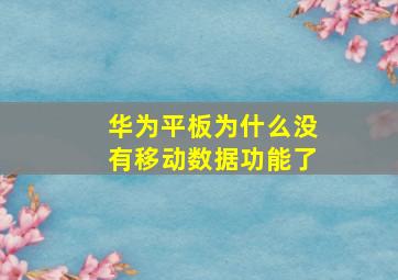 华为平板为什么没有移动数据功能了