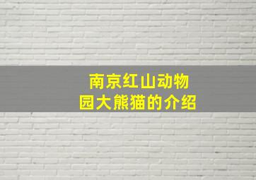 南京红山动物园大熊猫的介绍