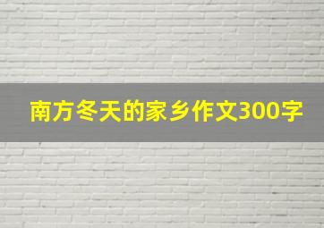 南方冬天的家乡作文300字