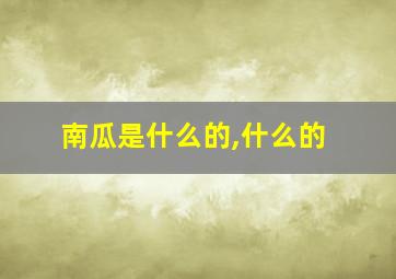 南瓜是什么的,什么的