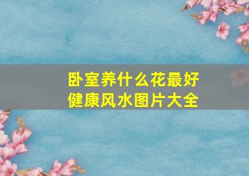 卧室养什么花最好健康风水图片大全