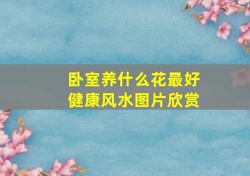 卧室养什么花最好健康风水图片欣赏