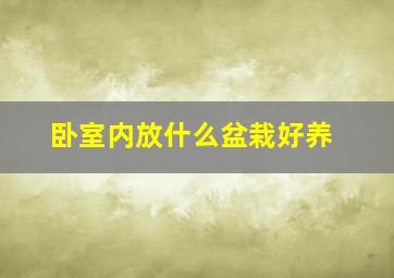 卧室内放什么盆栽好养